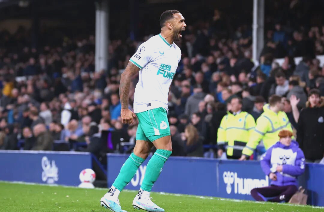 南安普顿客场击败纽卡斯尔，重新找回状态的简单介绍